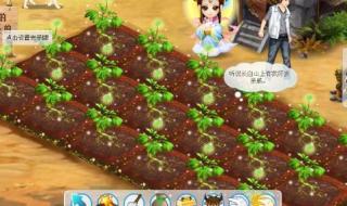 qq农场种什么赚钱最快