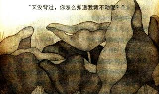 笑猫日记全集动画片