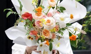 为什么中国禁止用ins